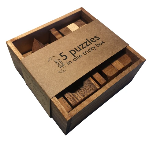 5 Puzzles in a Wooden Box