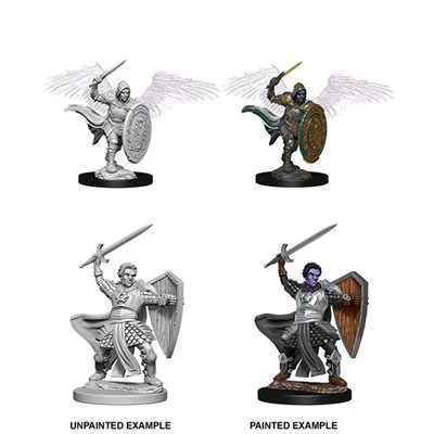Aasimar Male Paladin - D&D Nolzurs Marvelous Unpainted Miniatures