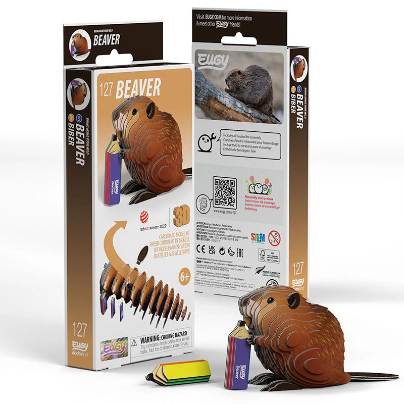 Beaver- EUGY2