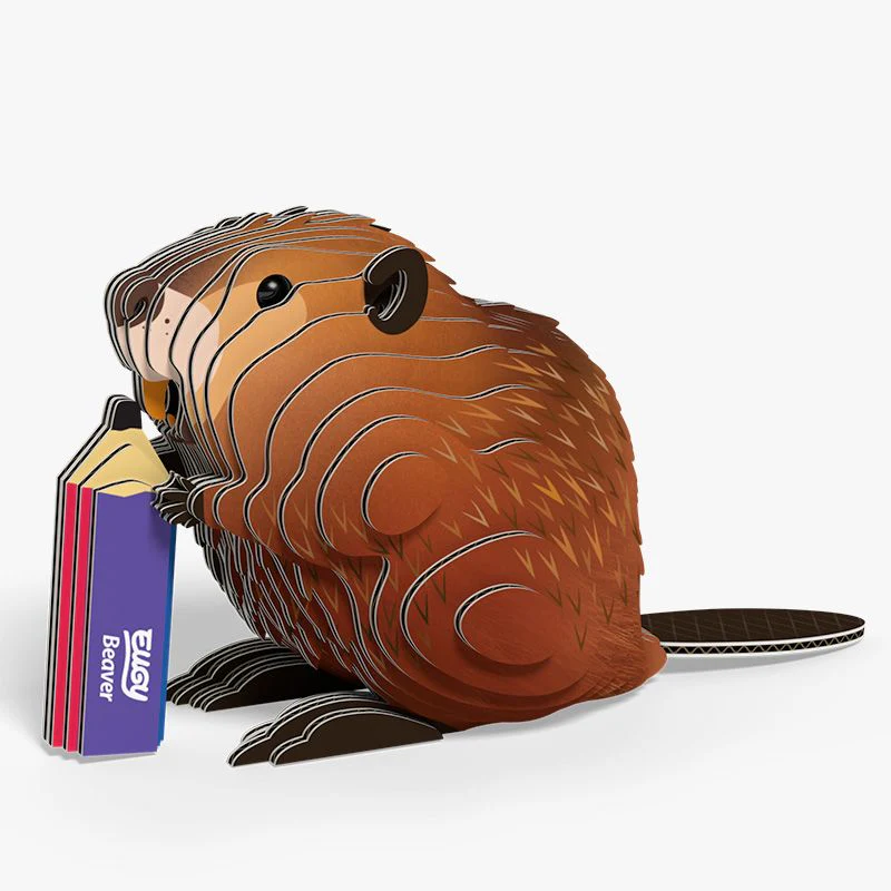 Beaver- EUGY2 - Image 2