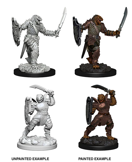 Dragonborn Female Paladin - D&D Premium Painted Figures Minis