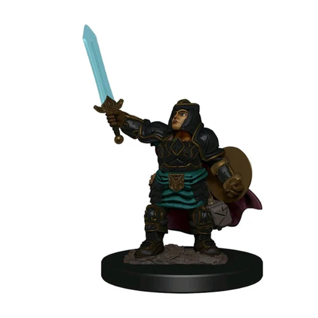 Dwarf Paladin Female - D&D Premium Painted Figures Minis