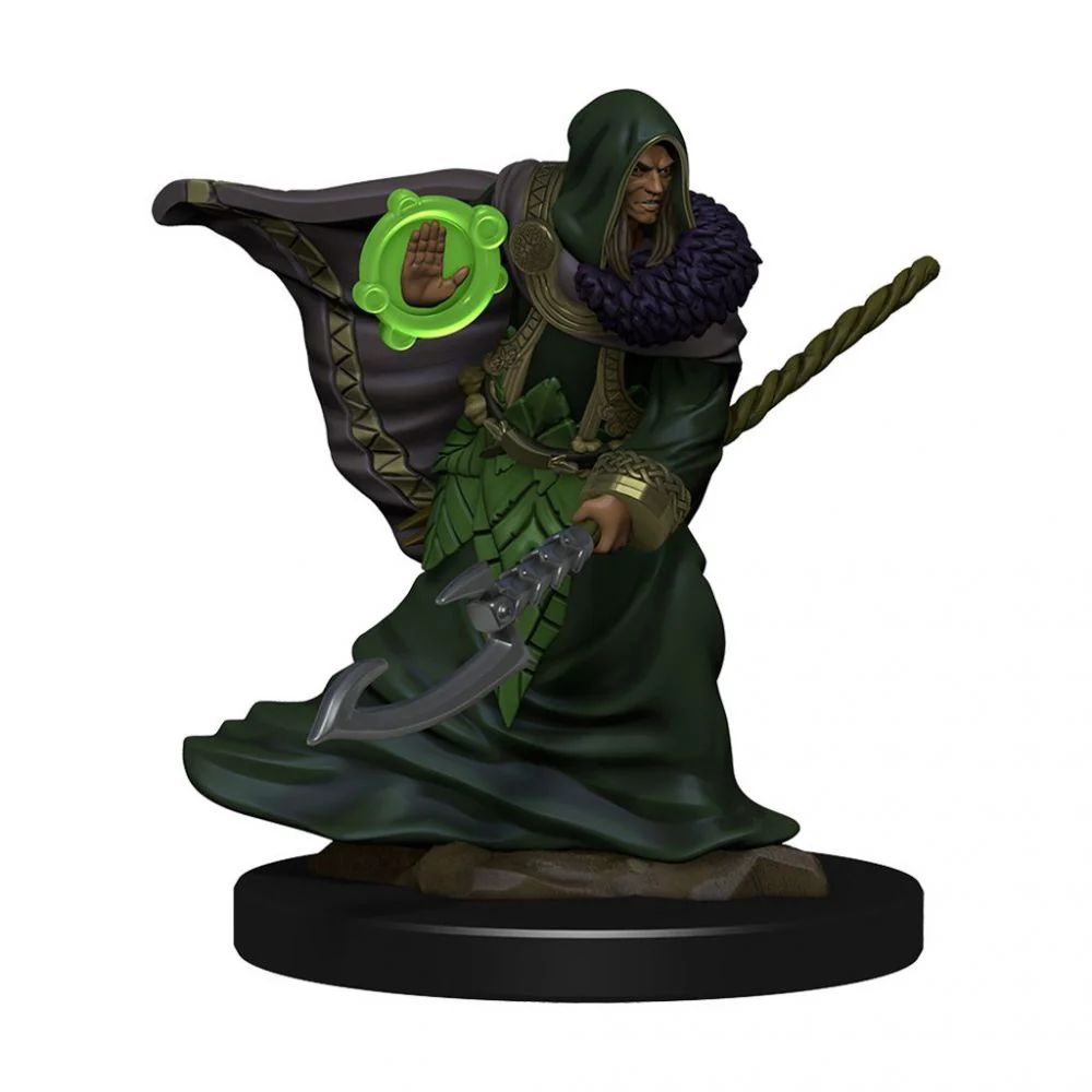 Elf Druid Male - D&D Premium Painted Figures Minis