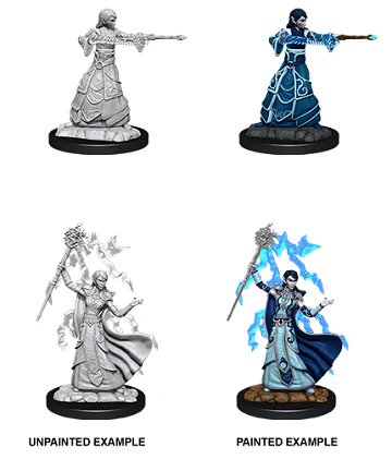 Elf Female Wizard - D&D Nolzurs Marvelous Unpainted Miniatures