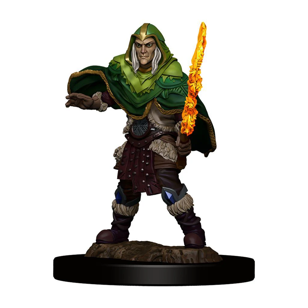 Elf Fighter Male - D&D Premium Painted Miniatures