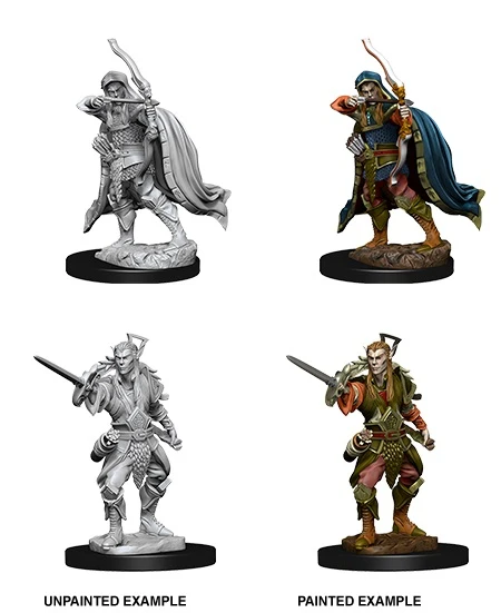 Elf Male Rogue - D&D Nolzurs Marvelous Unpainted Miniatures