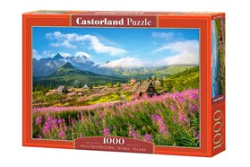 Hala Gasienicowa - Tatras Poland 1000pc