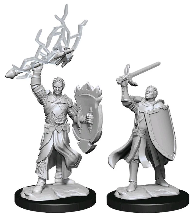 Half-Elf Male Paladin - D&D Nolzurs Marvelous Unpainted Miniatures