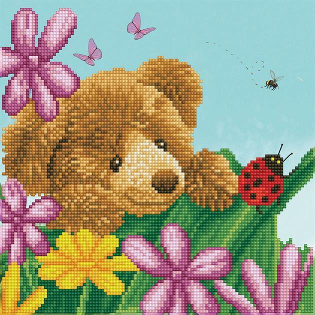 Honey Pot Bear Hide & Seek - DDOTZ