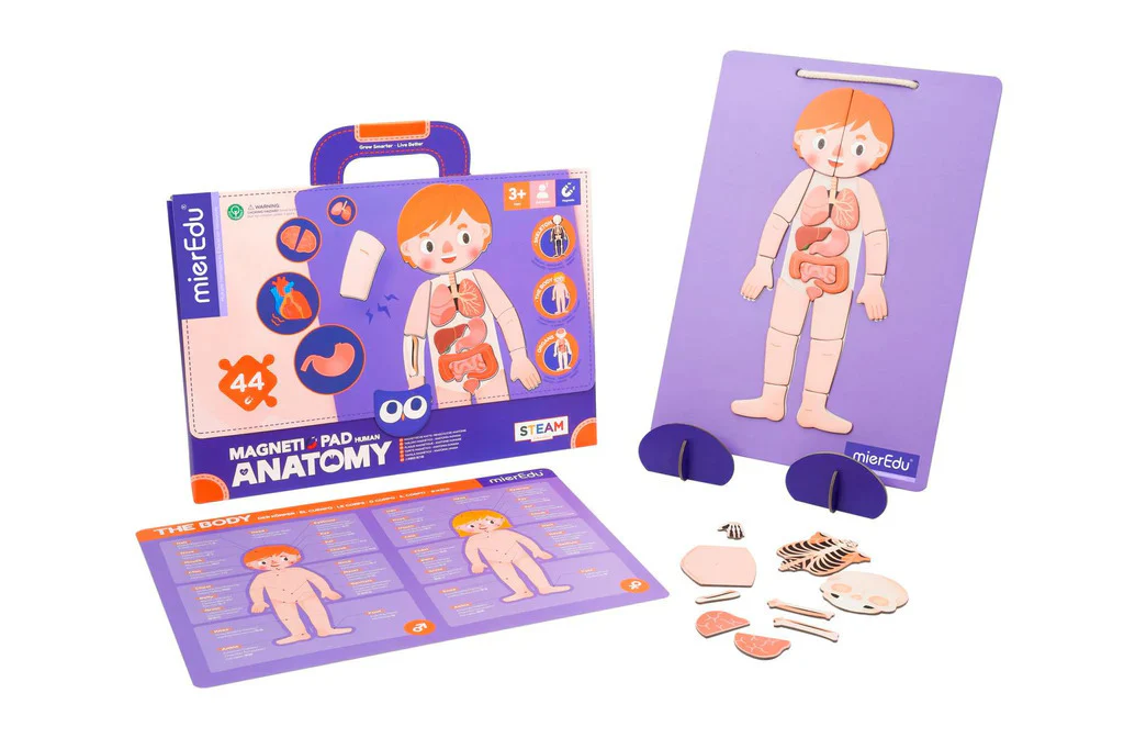 Human Anatomy - Magnetic Pad