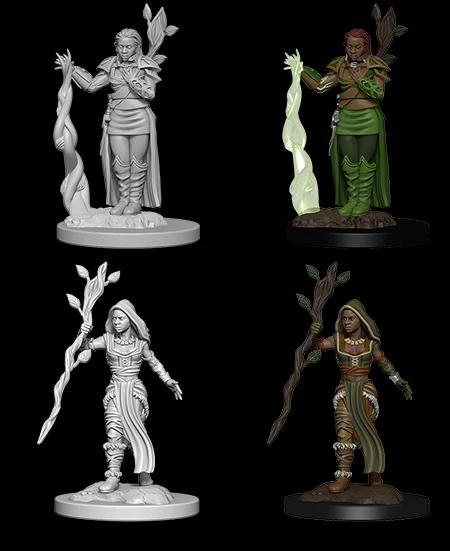 Human Female Druid - D&D Nolzurs Marvelous Unpainted Miniatures