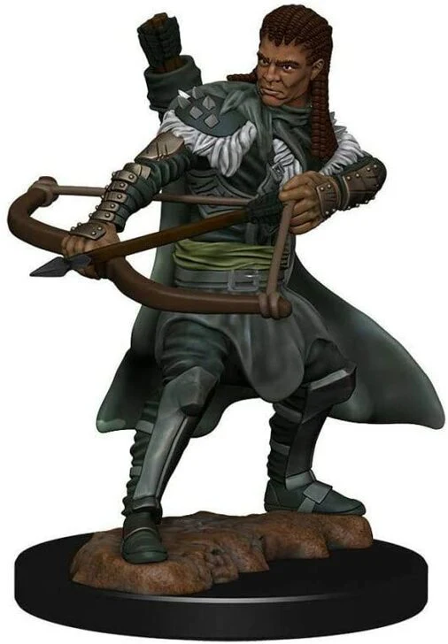 Human Male Ranger - D&D Premium Painted Miniatures