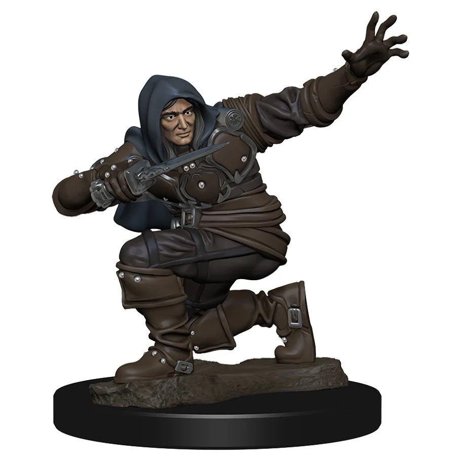 Human Rogue Male - D&D Premium Painted Figures Minis