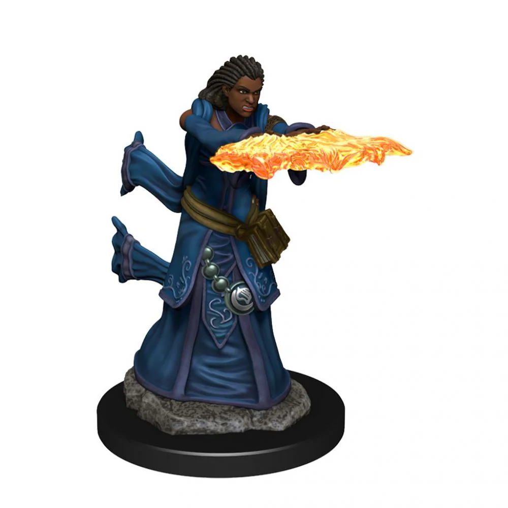 Human Female Wizard- D&D Premium Painted Miniatures