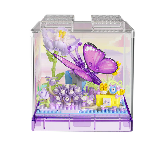 Butterfly - Insect - Koco