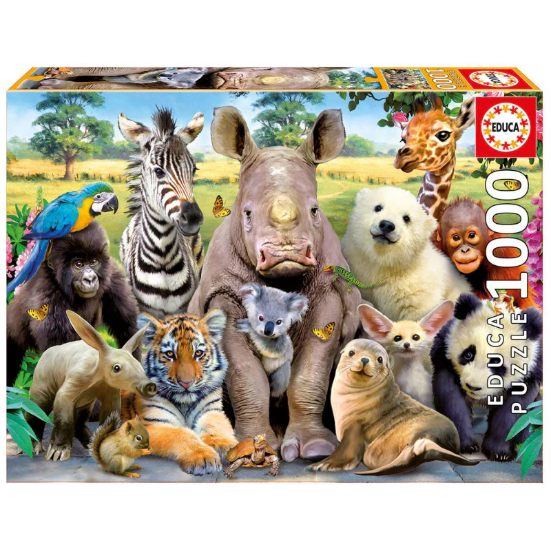 Its A Class Photo - 1000Pc