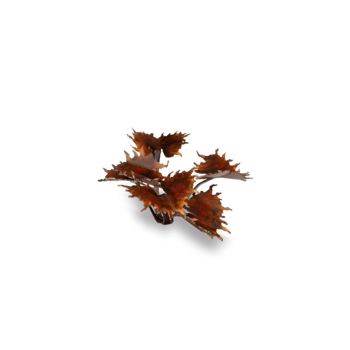 Laser Plants: Alien Flytrap - Image 3