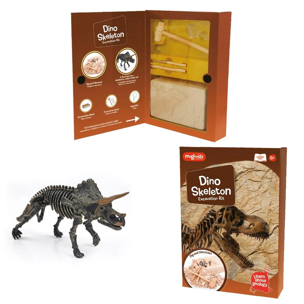 Magnoidz Dino Skeleton Excavation Kit - Magnoidz