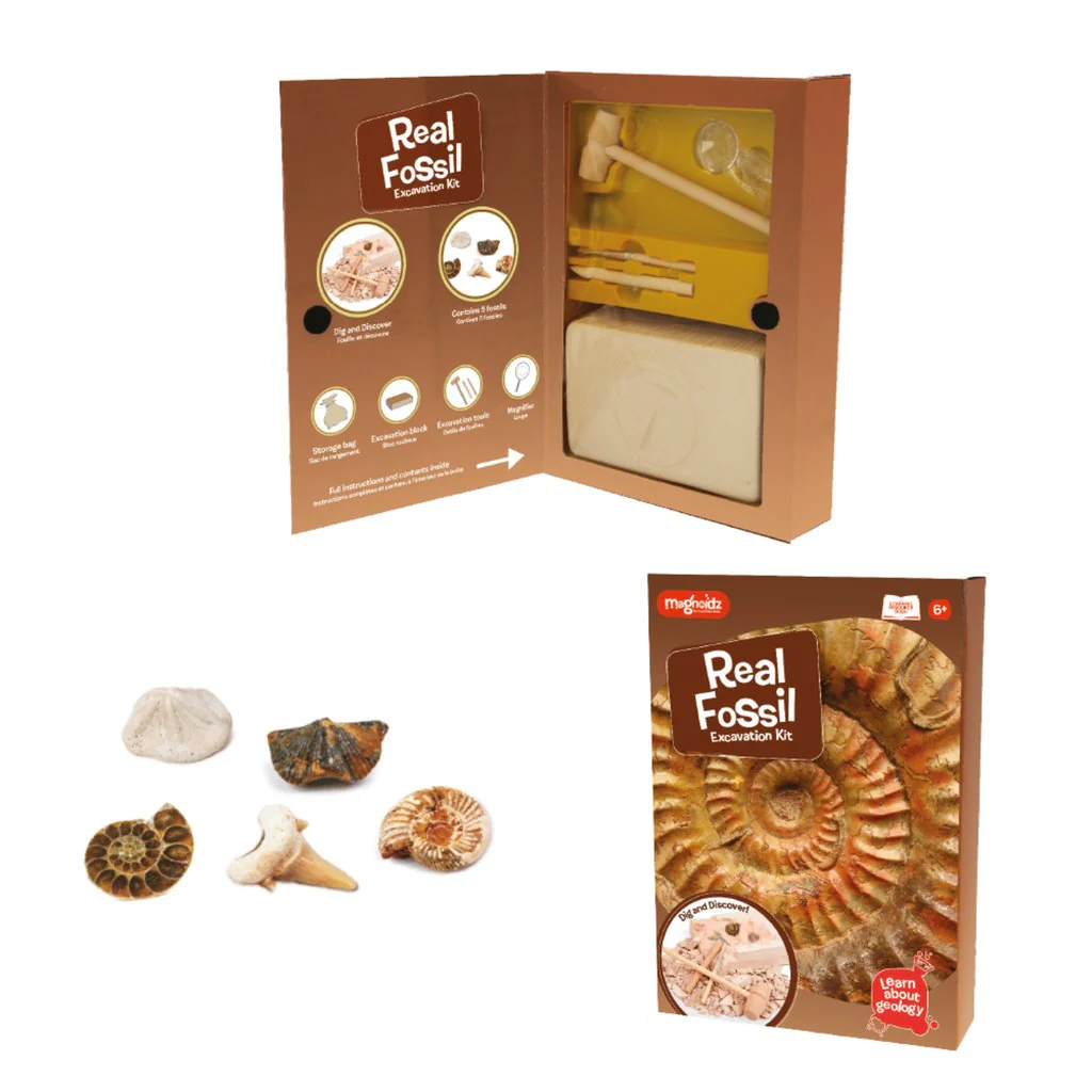 MAGNOIDZ Fossil Dig Kit - Magnoidz