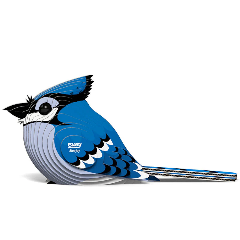 Blue Jay - EUGY2 - Image 2