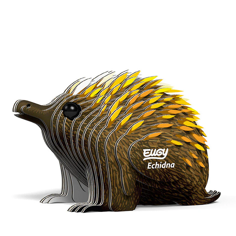 Echidna - EUGY2 - Image 2