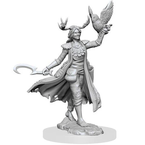 Human Druid Female - D&D Frameworks