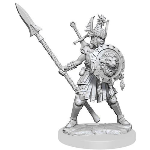 Human Fighter Female - D&D Frameworks