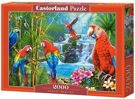 Parrot Meeting 2000p