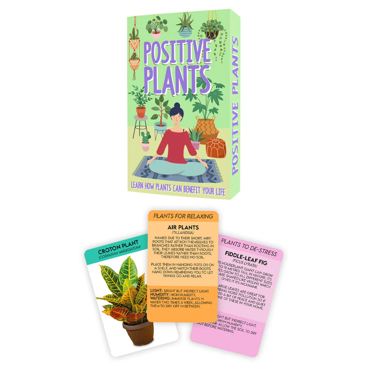 Positive Plants - Image 2