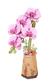 Purple Moth Orchid Wood Bloom