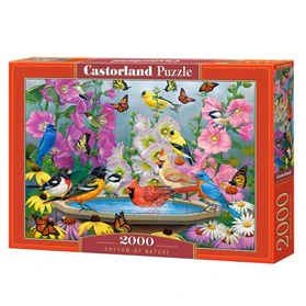 Rhythm of Nature 2000p