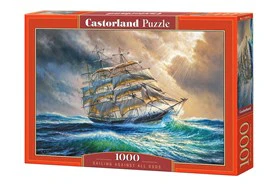 Sailing Against All Odds 1000pc
