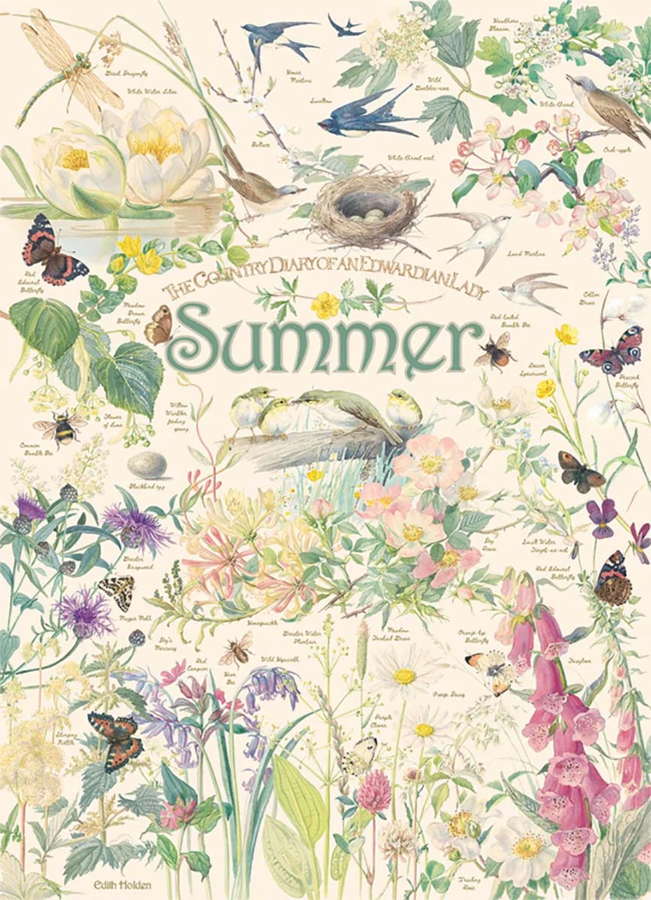Summer: Country Diary 1000pc