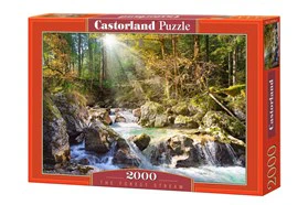 The Forest Stream 2000p