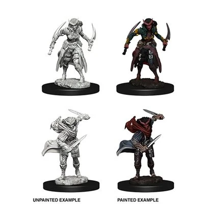 Tiefling Female Rogue - D&D Nolzurs Marvelous Unpainted Miniatures