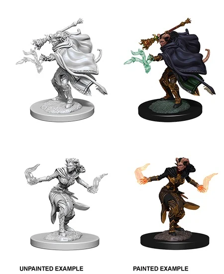 Tiefling Female Warlock - D&D Nolzurs Marvelous Unpainted Miniatures