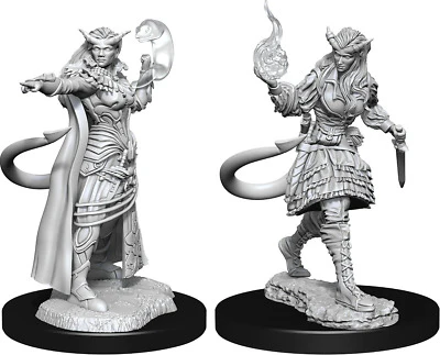 Tiefling Female Sorcerer - D&D Nolzurs Marvelous Unpainted Miniatures